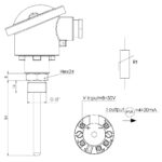 esquema transmisor de temperatura con salida analógica modelo 598 Euroswitch