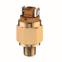 Vacuostato < 48 Vcc, modelo 35